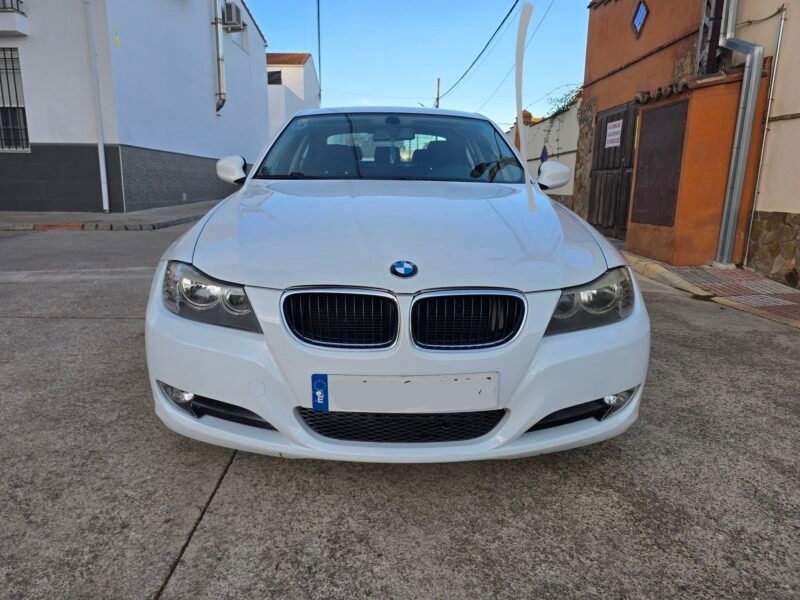 BMW Serie 3 318D