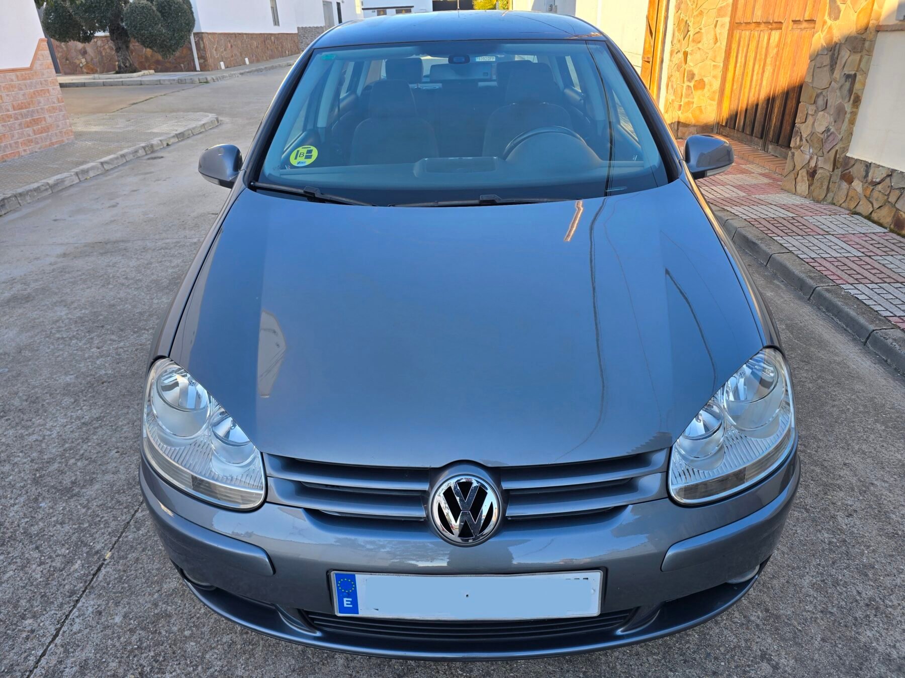 VOLKSWAGEN Golf 1.9 Tdi 