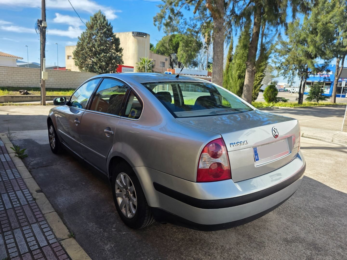 VOLKSWAGEN Passat 1.9 TDI 130cv