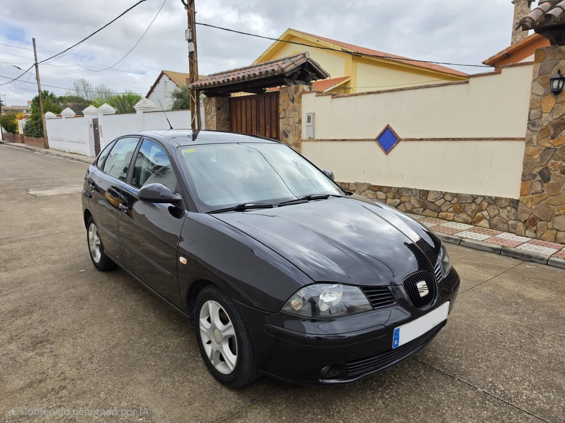 SEAT IBIZA 1.9 Tdi 