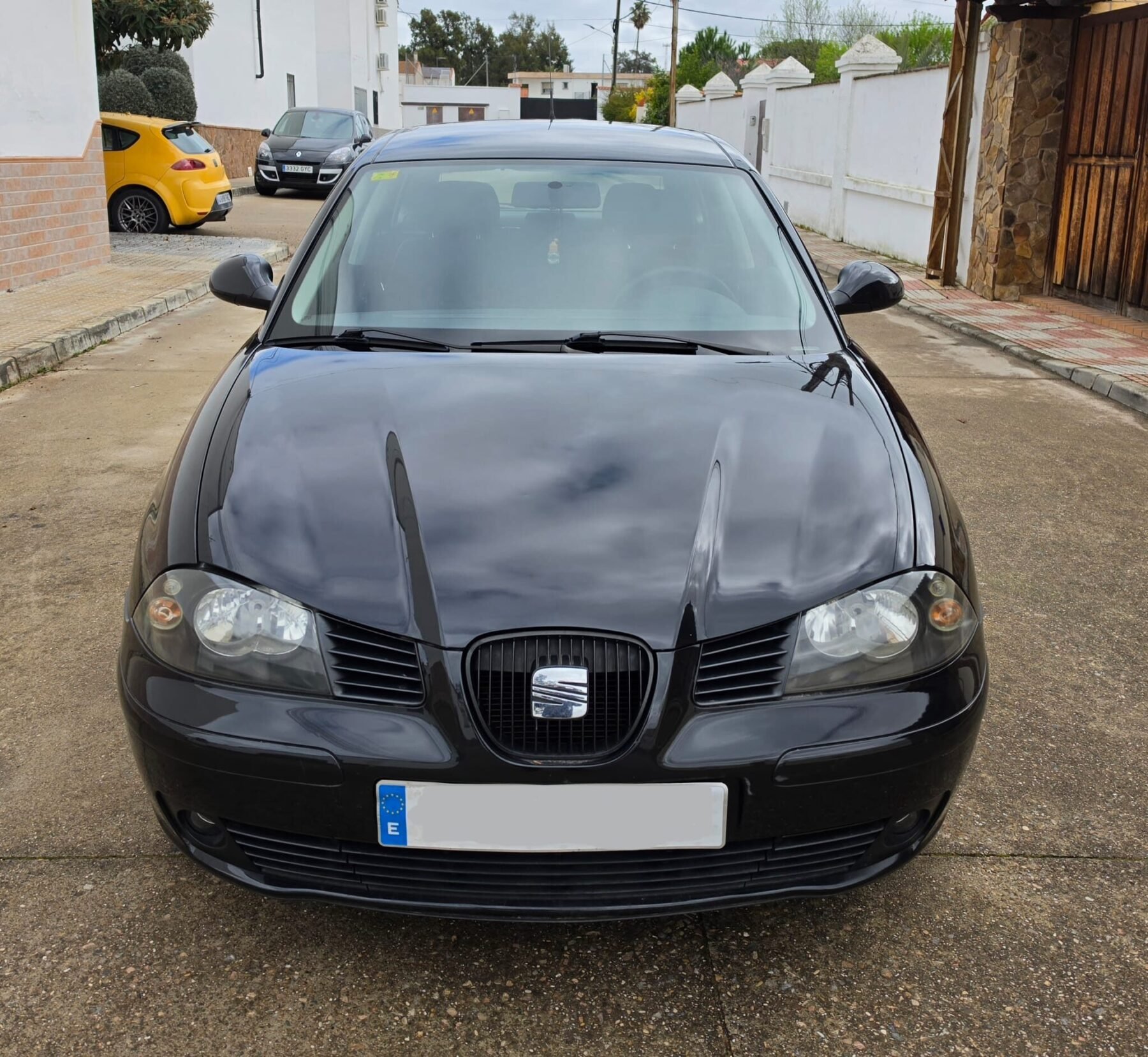SEAT IBIZA 1.9 Tdi 