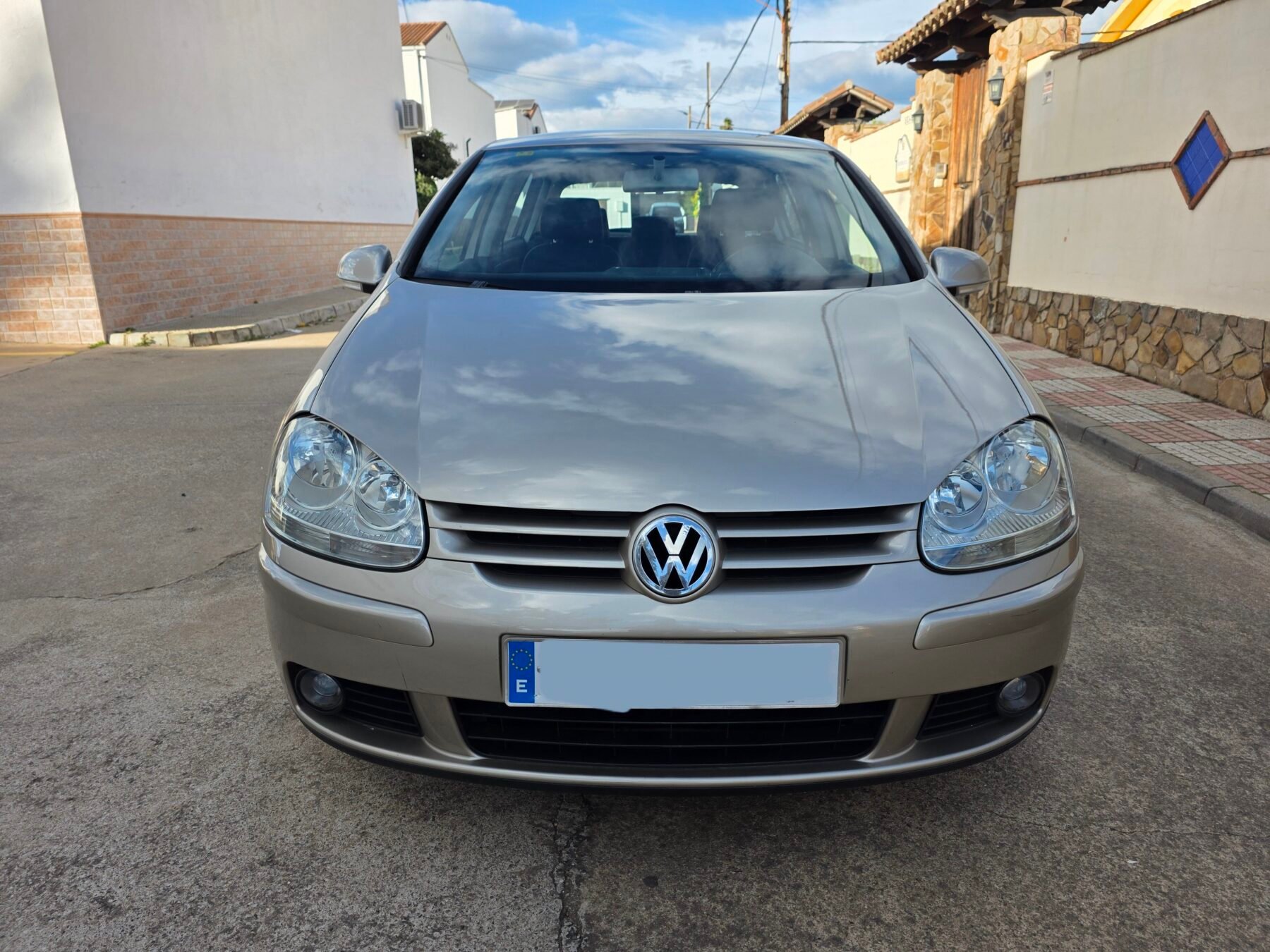 VOLKSWAGEN Golf 1.9 Tdi 