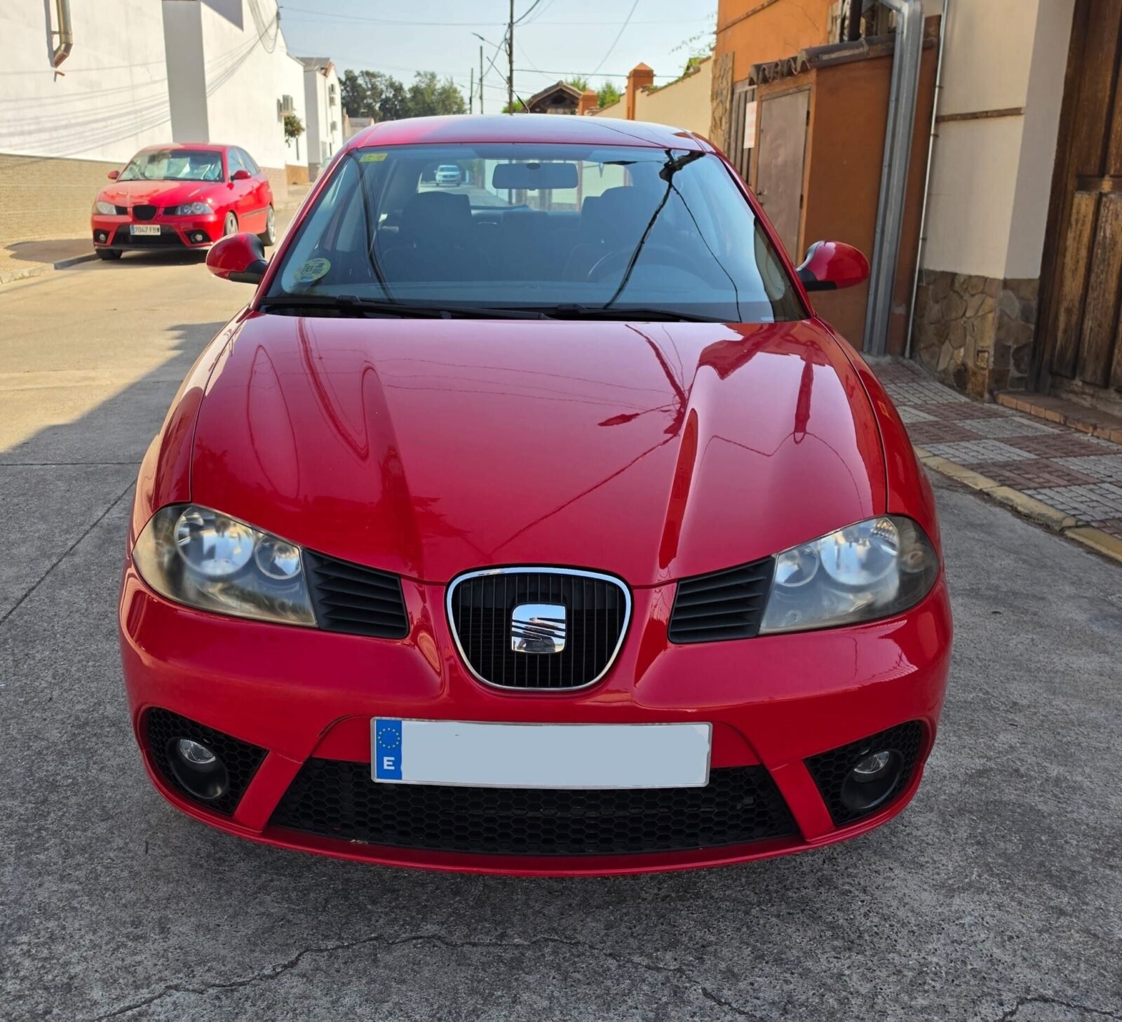 SEAT IBIZA 1.9 Tdi