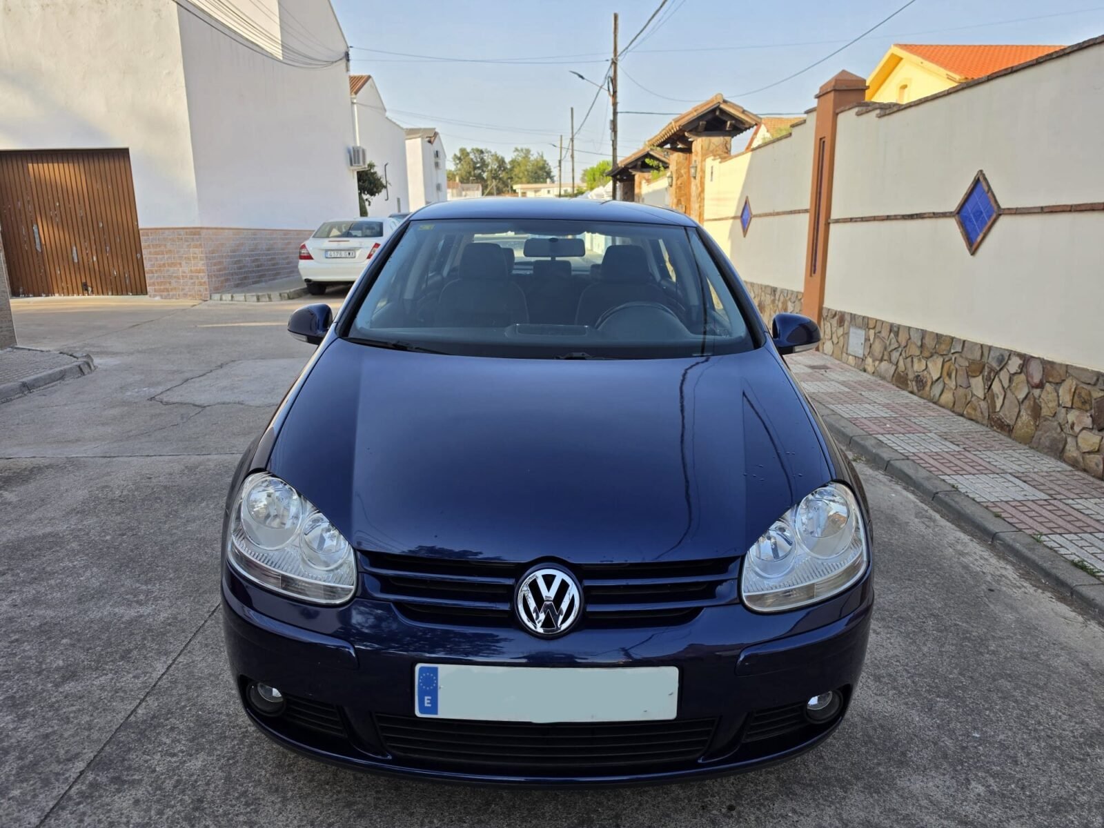 VOLKSWAGEN Golf 1.9 Tdi Sportline 