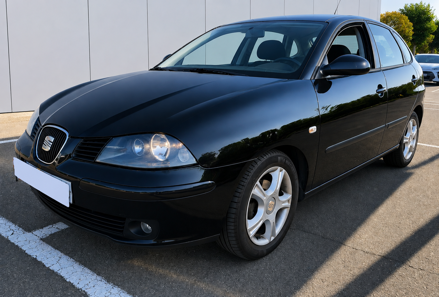 SEAT IBIZA 1.9 Tdi