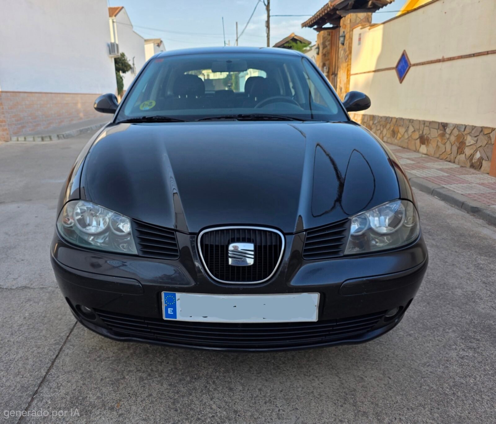 SEAT IBIZA 1.9 Tdi